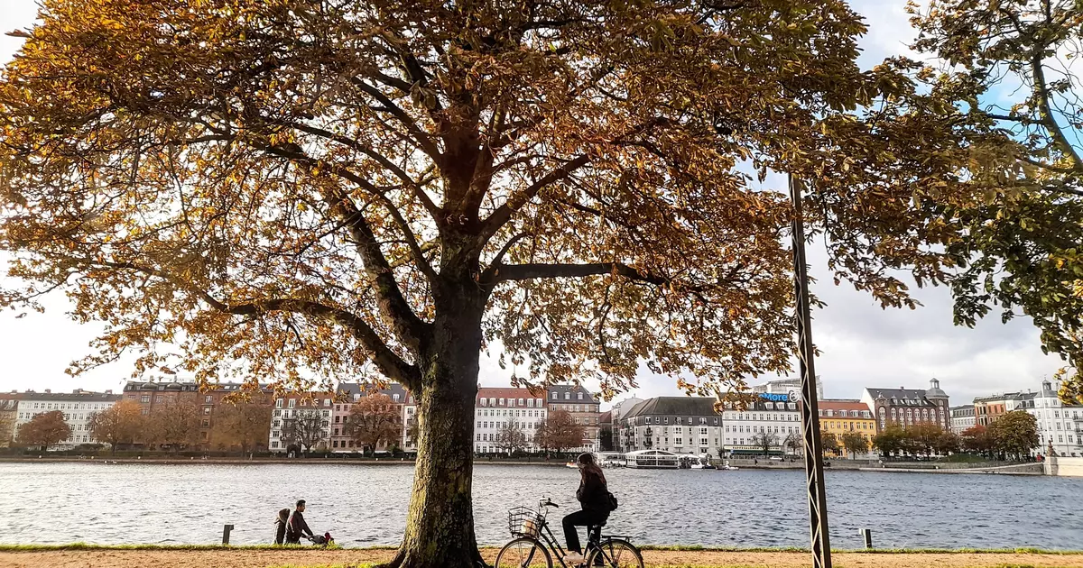 The best time to visit Copenhagen - Lonely Planet