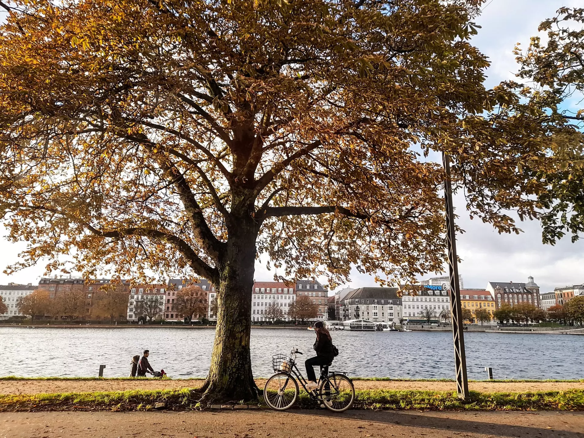 Copenhagen in autumn. Giannis Papanikos/Shutterstock