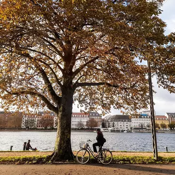 Copenhagen in autumn. Giannis Papanikos/Shutterstock