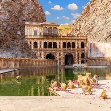 Monkeys sitting in front of the Galta Ji Temple or Monkey Temple in Jaipur, Rajasthan.