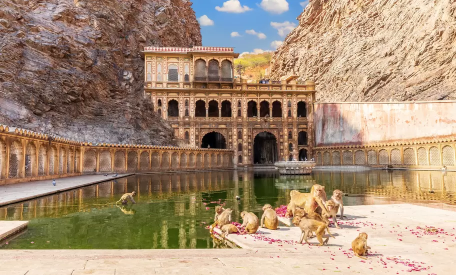 Monkeys sitting in front of the Galta Ji Temple or Monkey Temple in Jaipur, Rajasthan.