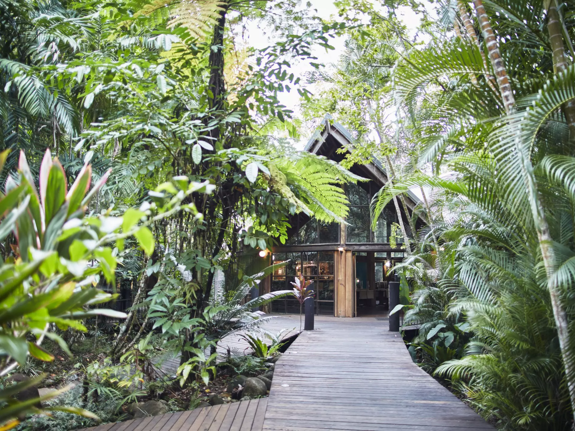Ferntree Rainforest Lodge in Queensland, Australia. Ewen Bell/Lonely Planet