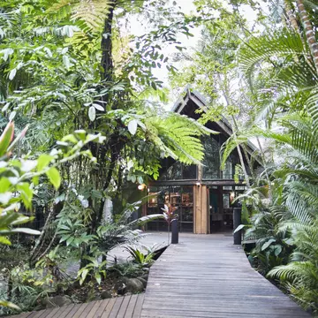 Ferntree Rainforest Lodge in Queensland, Australia. Ewen Bell/Lonely Planet