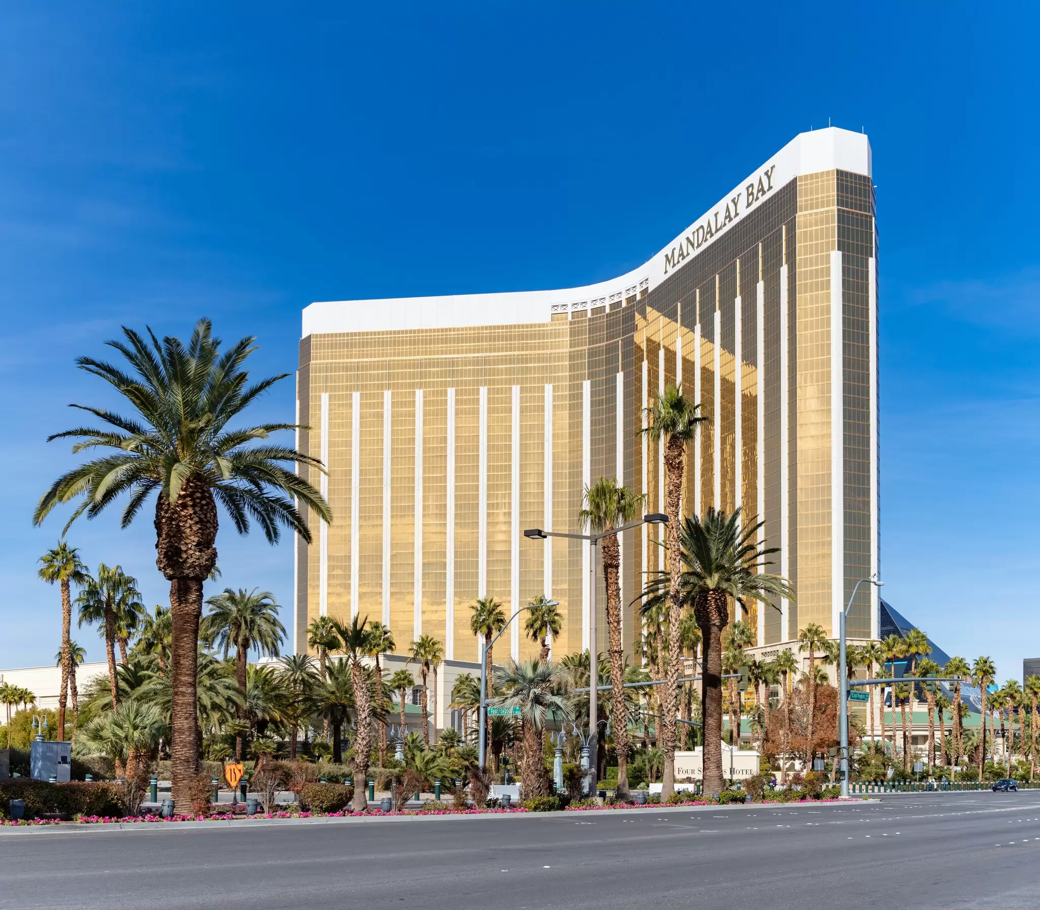 The gold-glass Mandalay Bay resort tower rising above palm trees on the Las Vegas Strip