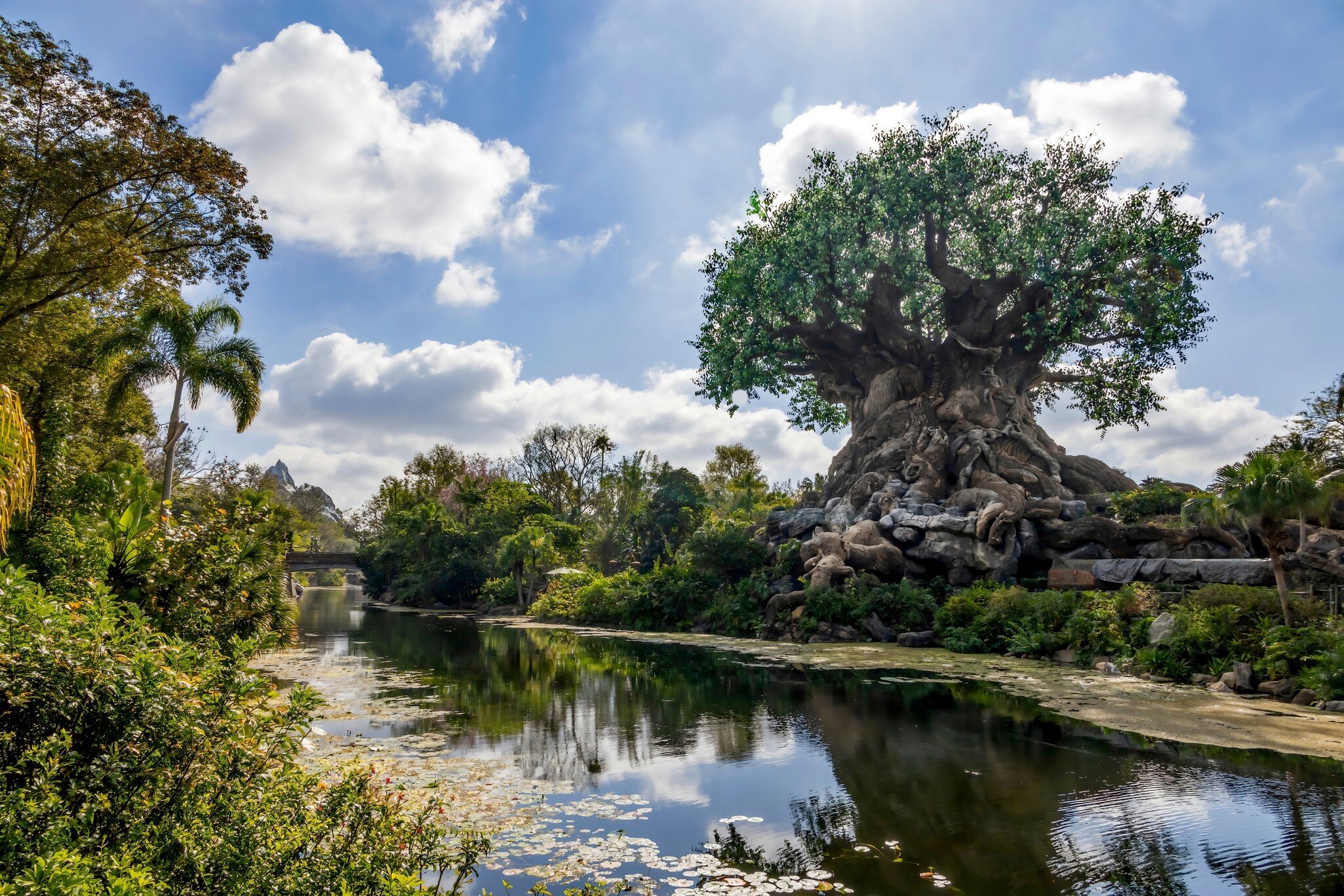 Orlando, Florida, USA - Mar 1, 2023: The Tree of Life stands tall and proud beside a tranquil river on a bright sunny day at Disney's Animal Kingdom in Orlando, Florida., License Type: media, Download Time: 2025-05-15T15:25:03.000Z, User: rhylton_redventures, Editorial: true, purchase_order: 65050 - Digital Destinations and Articles, job: Lonely Planet, client: wip, other: Rhianydd Hylton