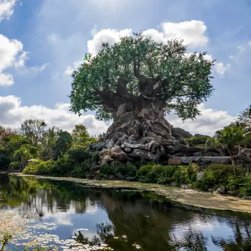 Orlando, Florida, USA - Mar 1, 2023: The Tree of Life stands tall and proud beside a tranquil river on a bright sunny day at Disney's Animal Kingdom in Orlando, Florida., License Type: media, Download Time: 2025-05-15T15:25:03.000Z, User: rhylton_redventures, Editorial: true, purchase_order: 65050 - Digital Destinations and Articles, job: Lonely Planet, client: wip, other: Rhianydd Hylton