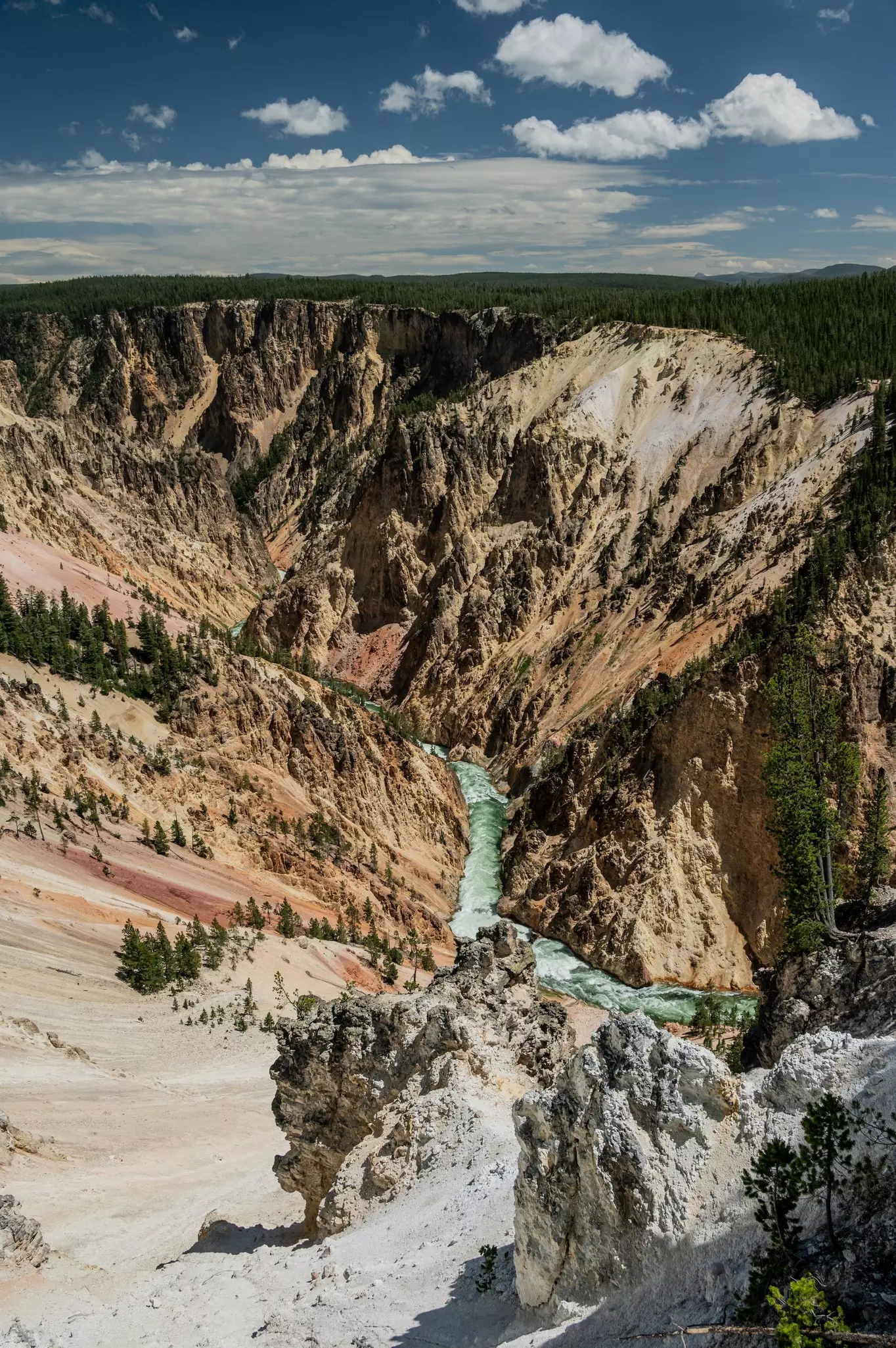 Steep Drop Into The Grand Canyon Of The Yellowstone And The River Below in summer.