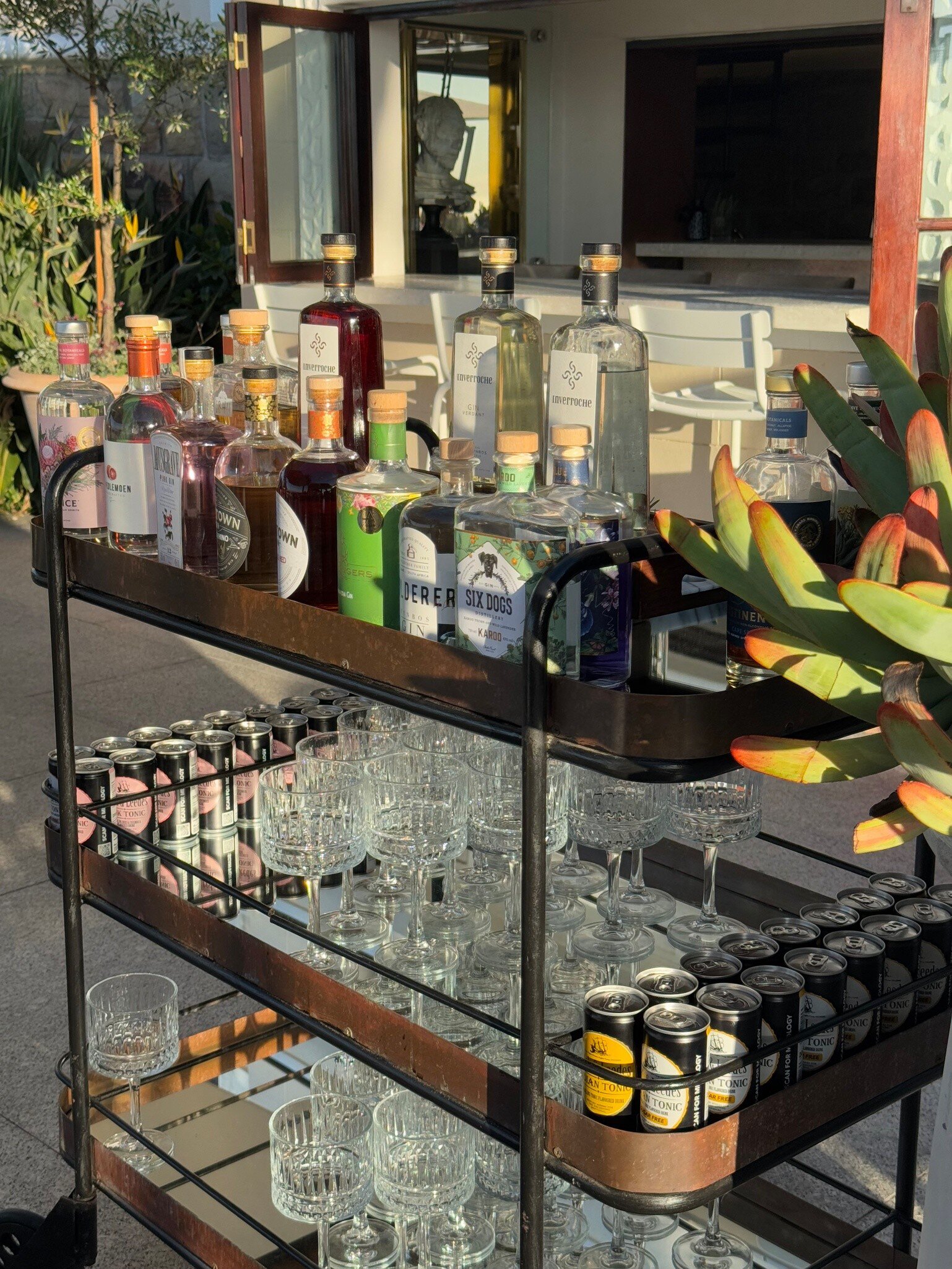 Cape Town - Best gin experiences in Cape Town, app + web experience

Gin cart at Bar Roc Ellerman House

Writer photo submission, licensed from Anna Staropoli