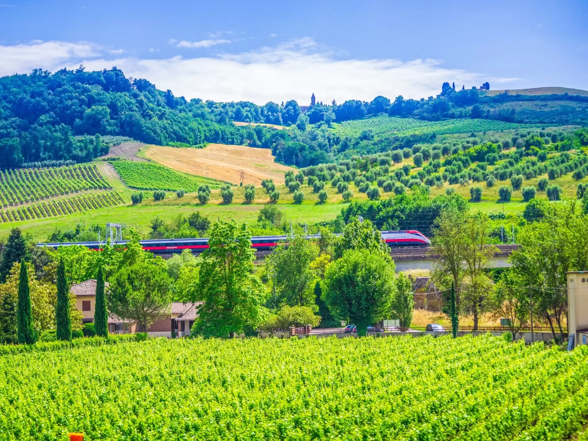 A high-speed train passes through vineyards near Orvieto in Tuscany, Italy. Anna Yordanova/Shutterstock