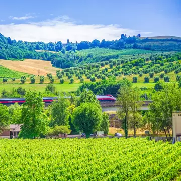A high-speed train passes through vineyards near Orvieto in Tuscany, Italy. Anna Yordanova/Shutterstock
