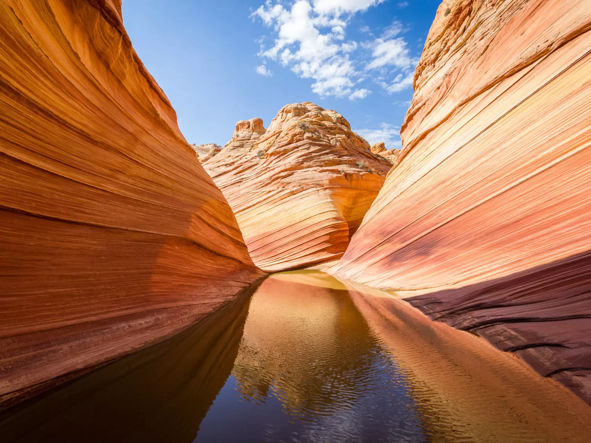 The Wave reflections