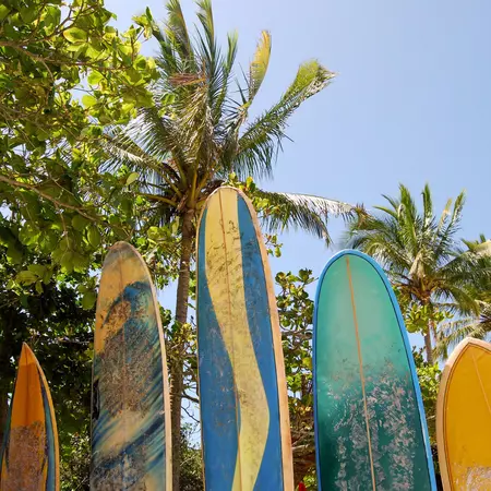 Ilha Grande: Surfboards at beach Praia Lopes Mendes, Rio de Janeiro state, Brazil