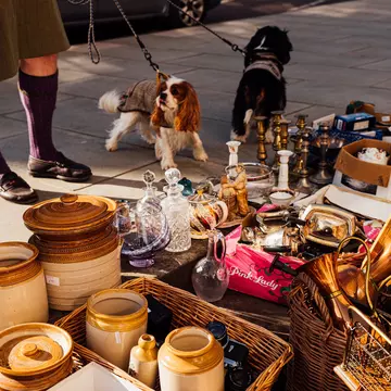 A dog on the sidewalk by a table of dishes for sale.