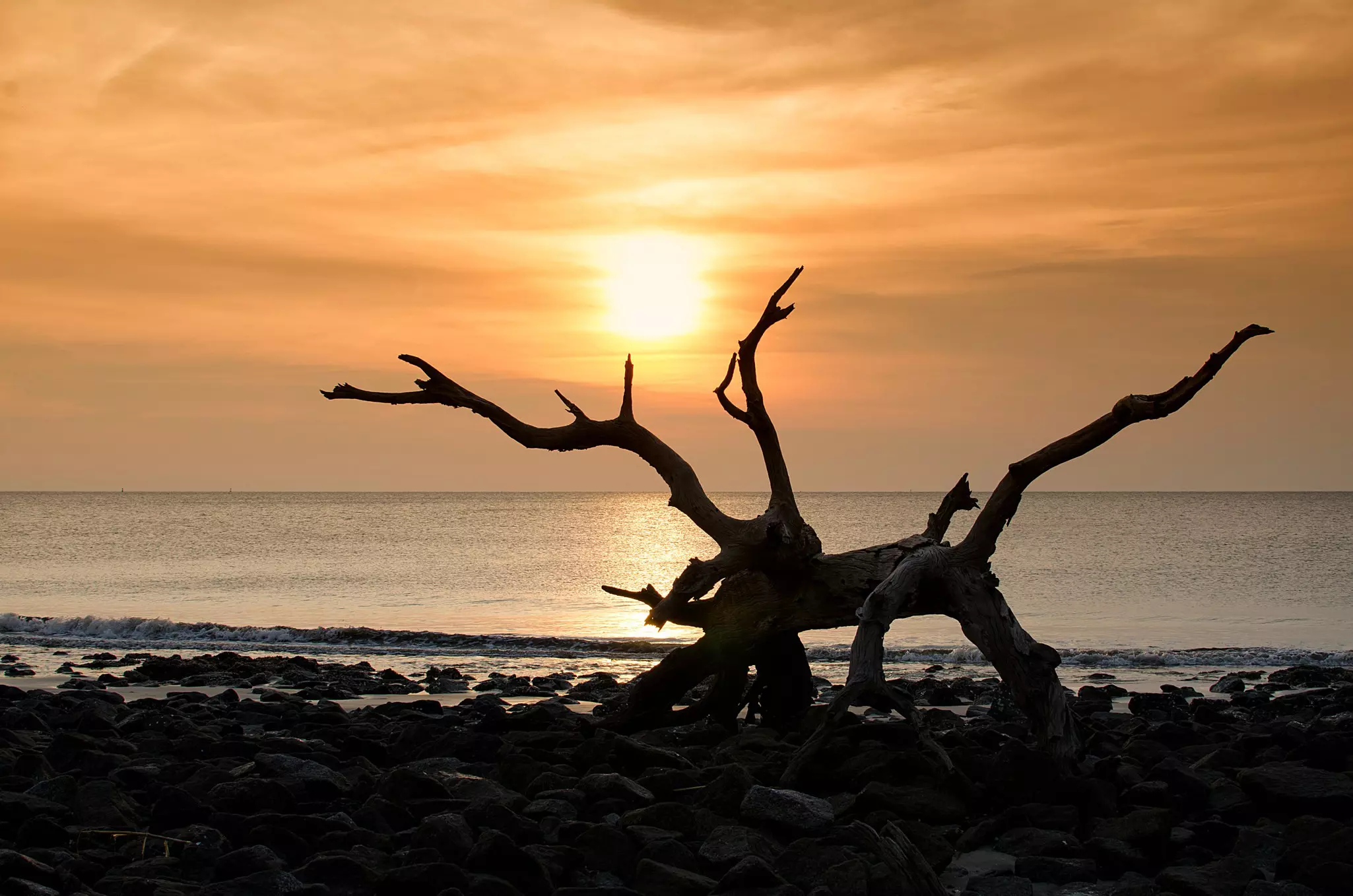 A large piece of driftwood on a beach forming a silhouette against the sky as the sun rises over the ocean.