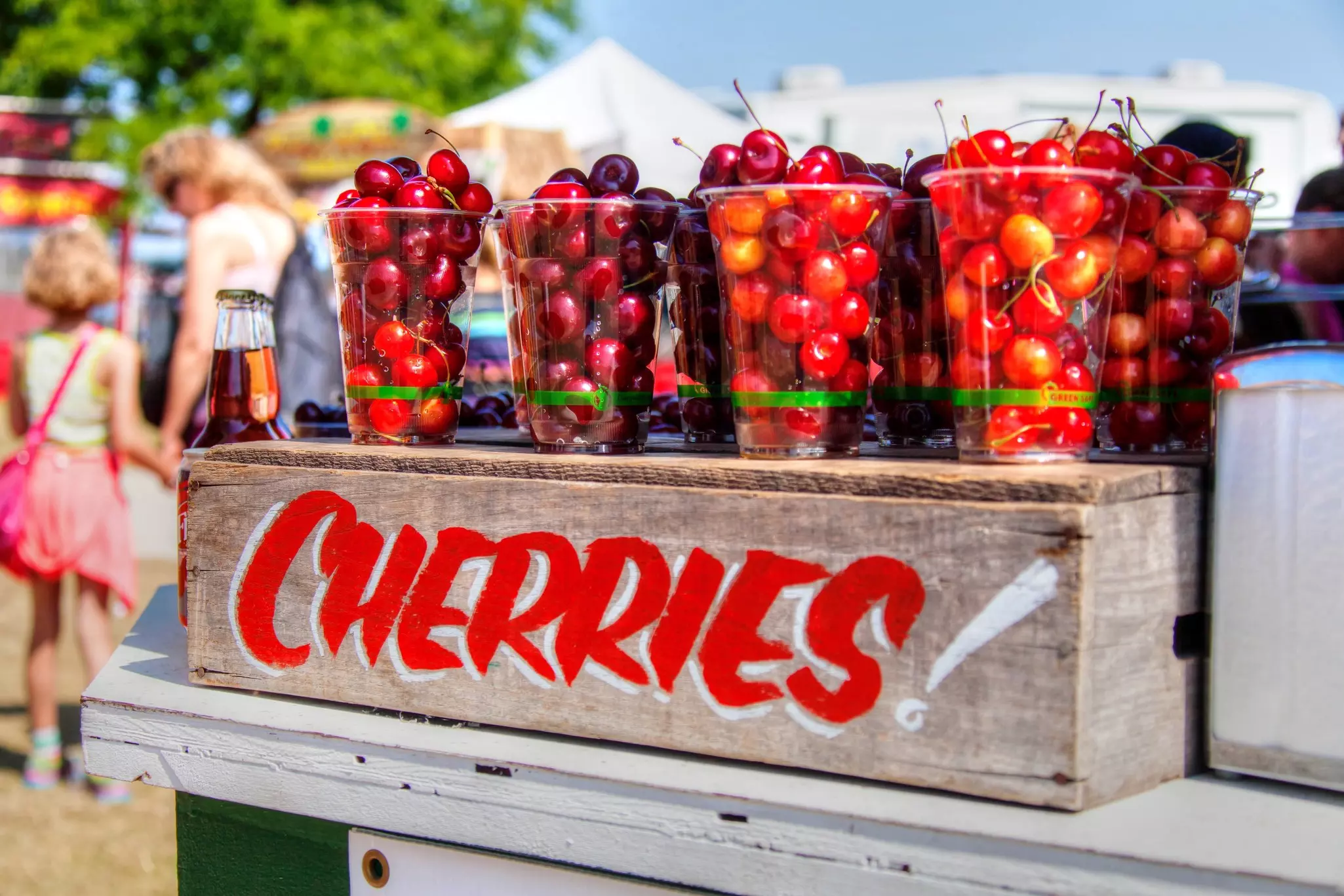 Traverse City Cherry Stand.