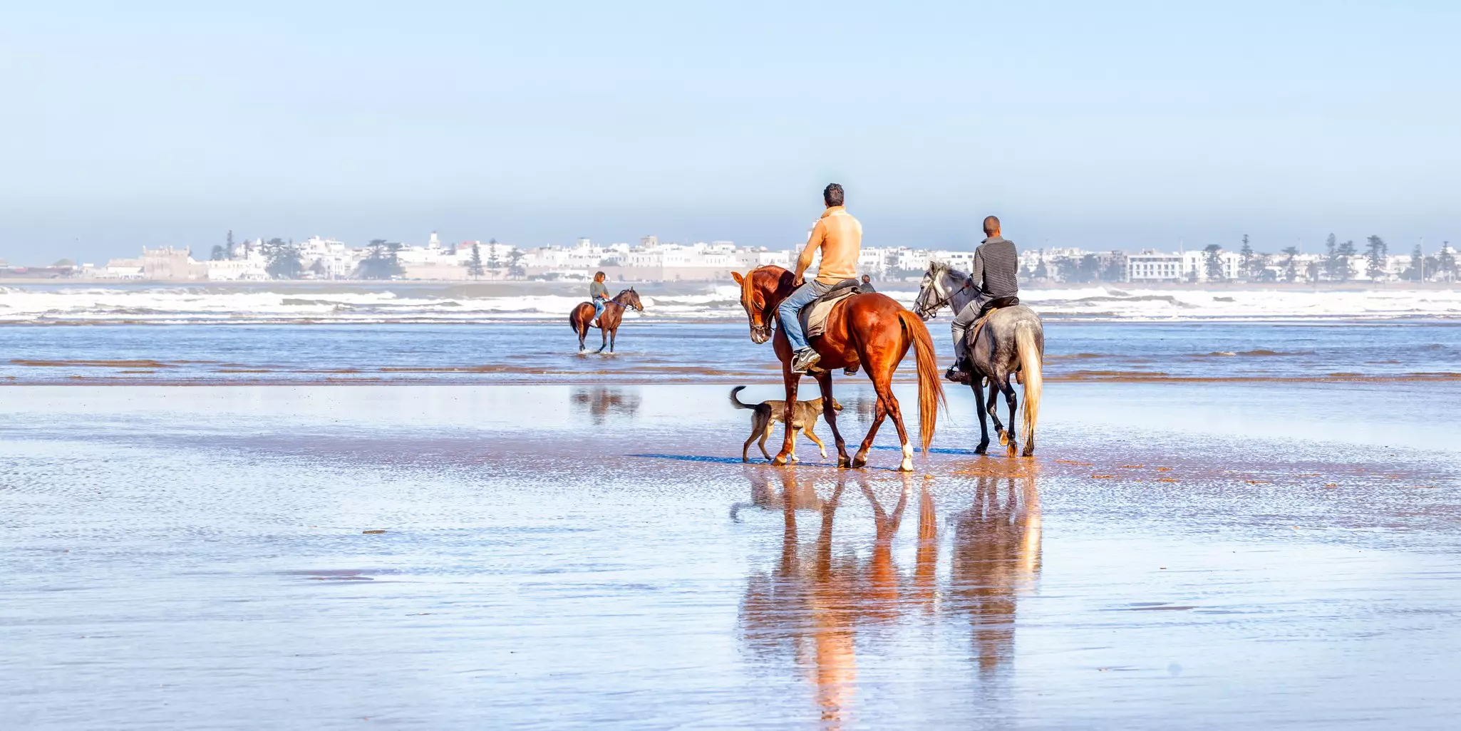 People ride horses at low tide on a beach. White buildings are visible in the distance.