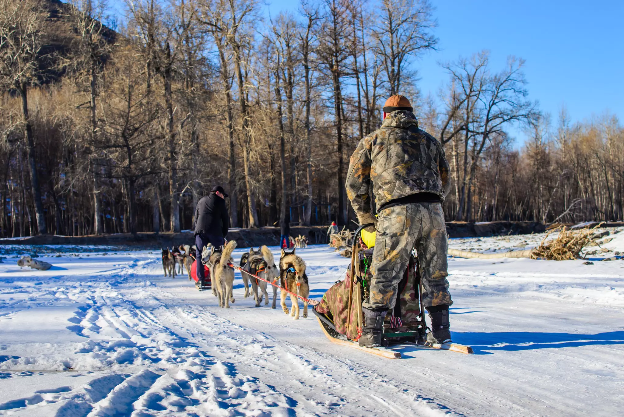 Take a dog sledding tour in the winter months © Suphanat Wongsanuphat / Getty Images