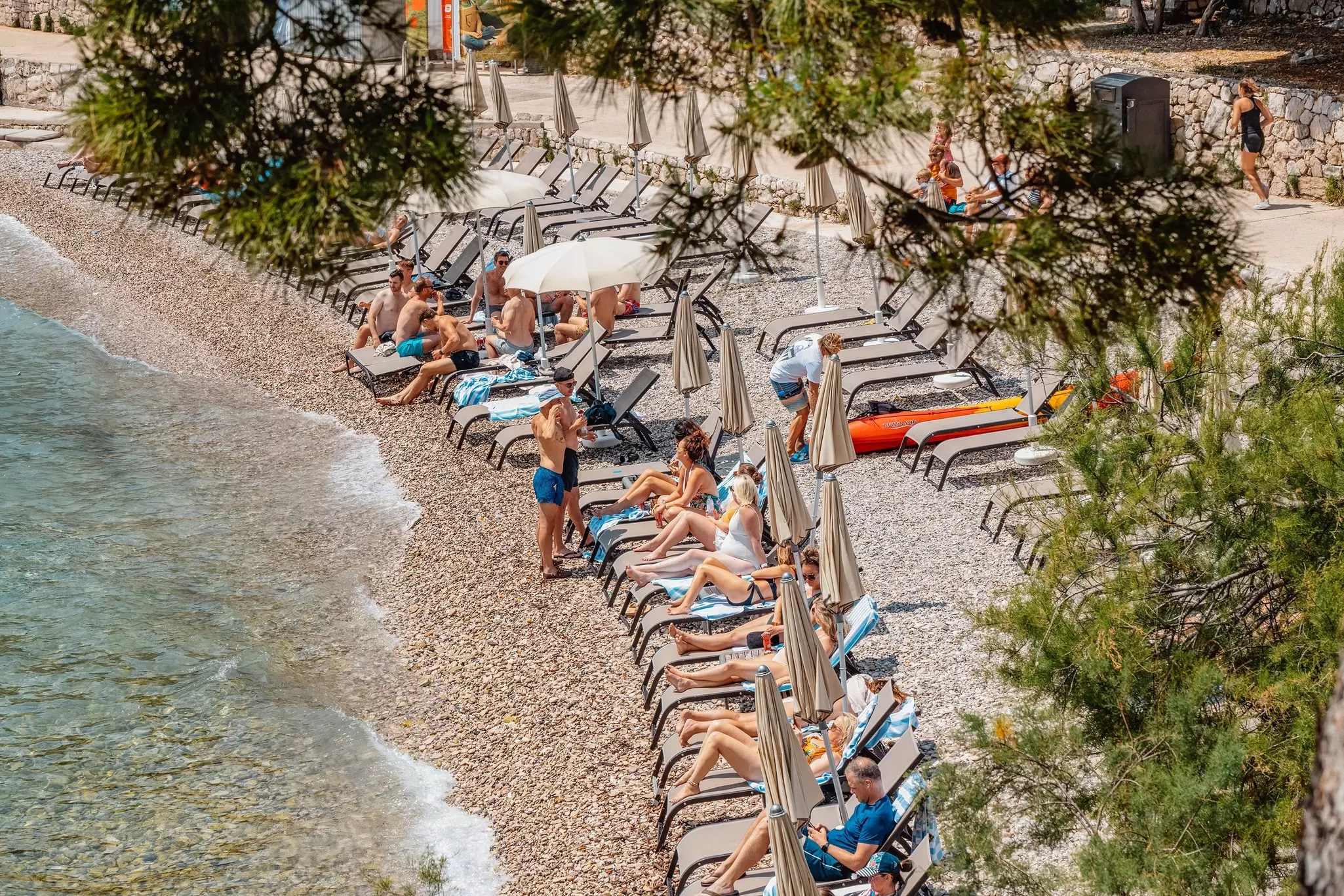 People sit in chaise lounges on a rocky beach, shaded by pine trees on the edge.