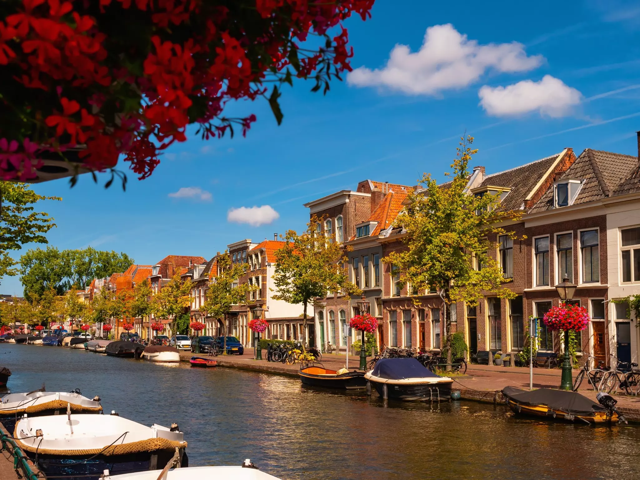 Quaint houses along canal in Leiden