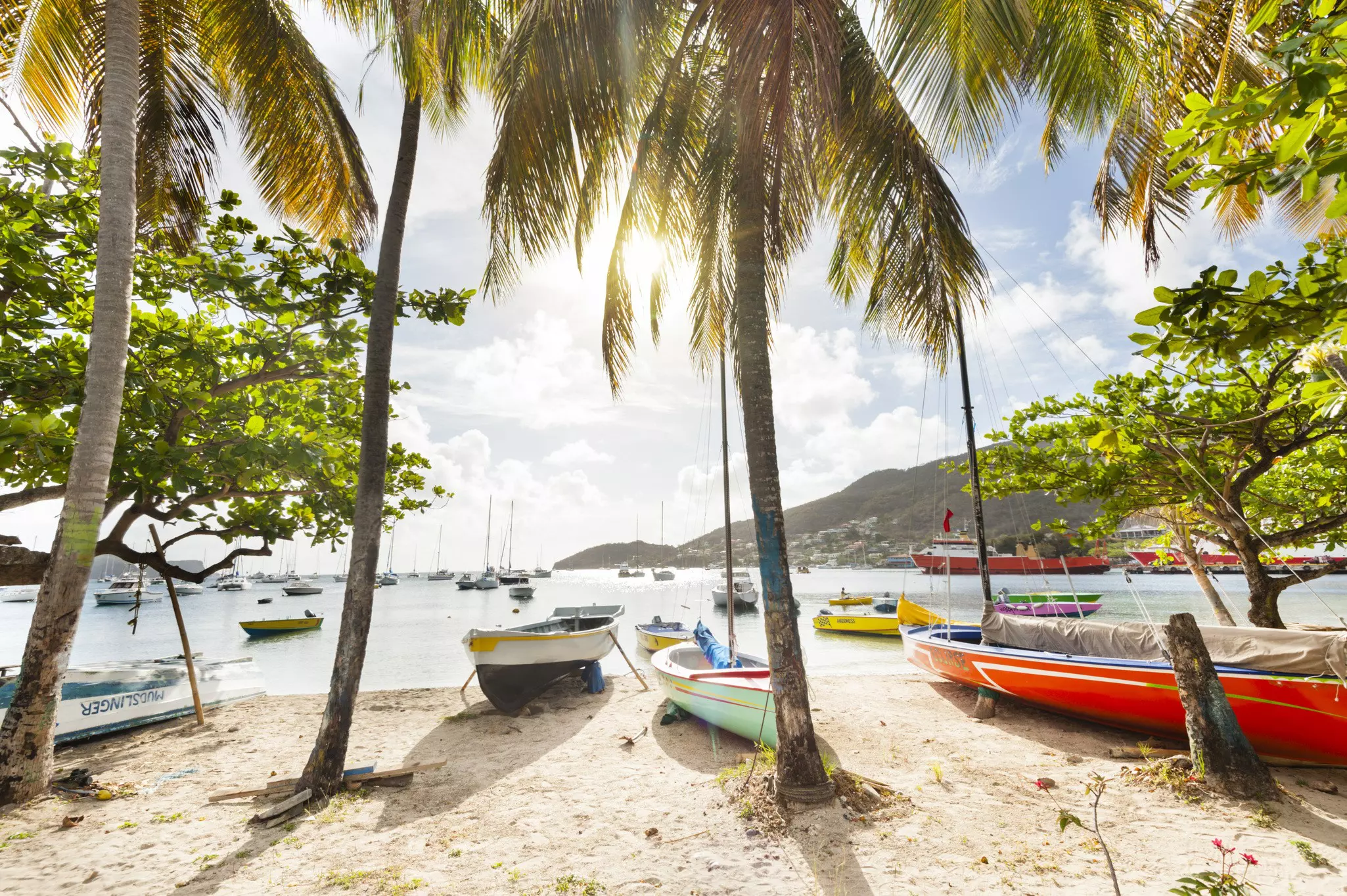 Boats moored on a palm tree-lined beach on a sunny day.