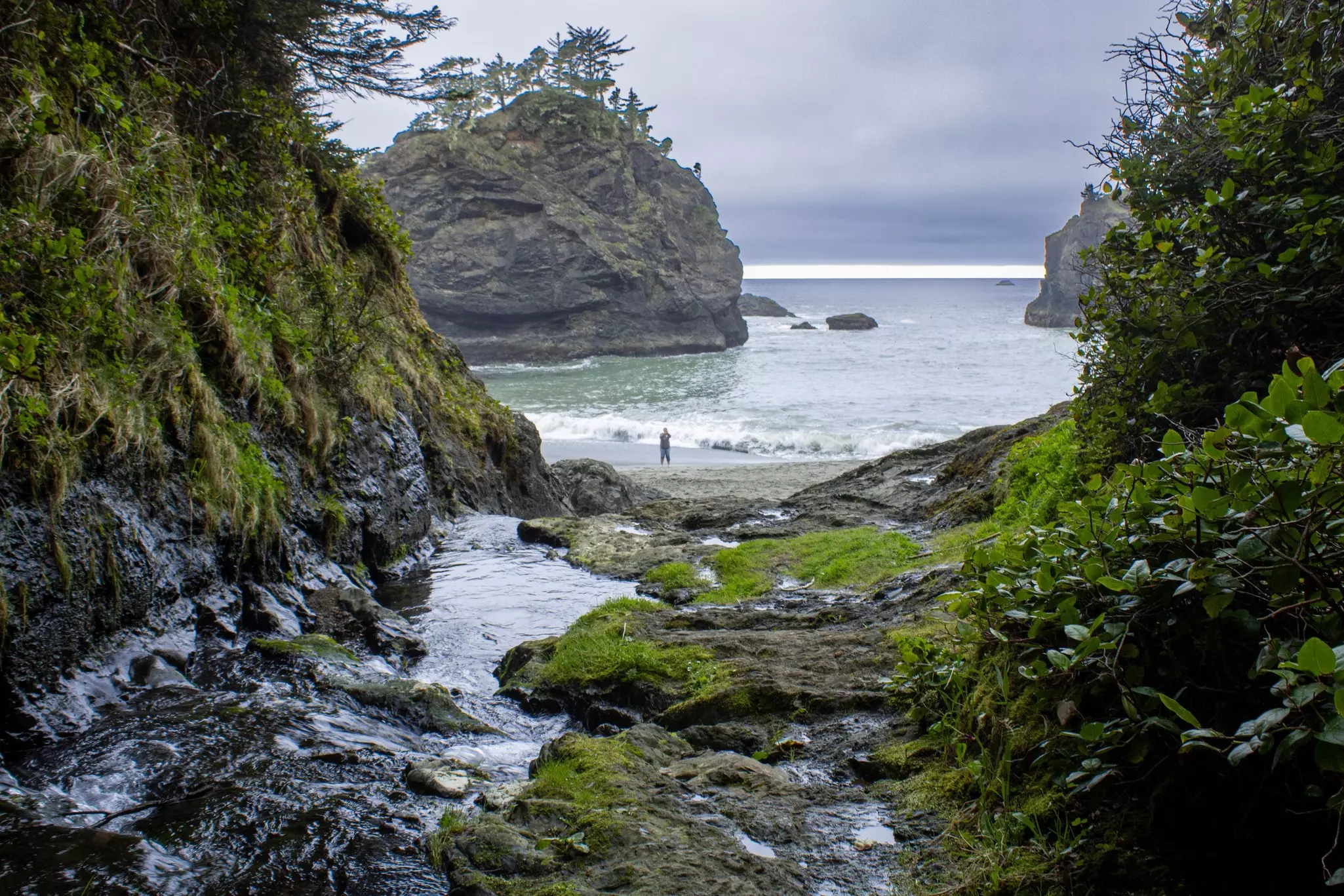 Secret Beach along the rugged Pacific Coast Highway in Oregon