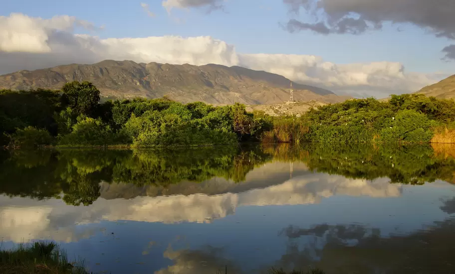 Calm lagoon in Haiti mirroring green scrub, white egrets in the trees and bare brown mountains under clouds