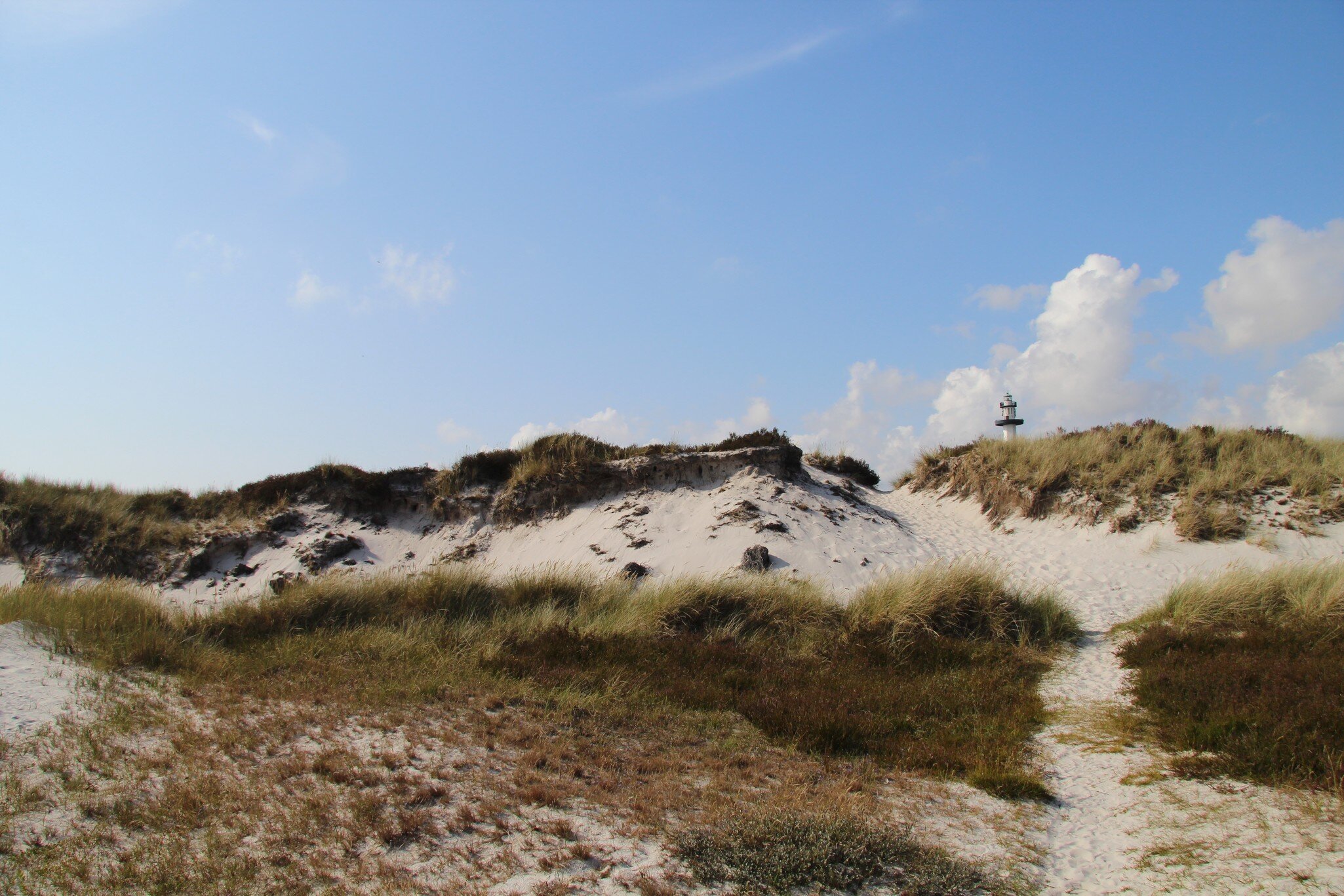 Wide shot of grass-covered sandy dunes with lighthouse in the background.