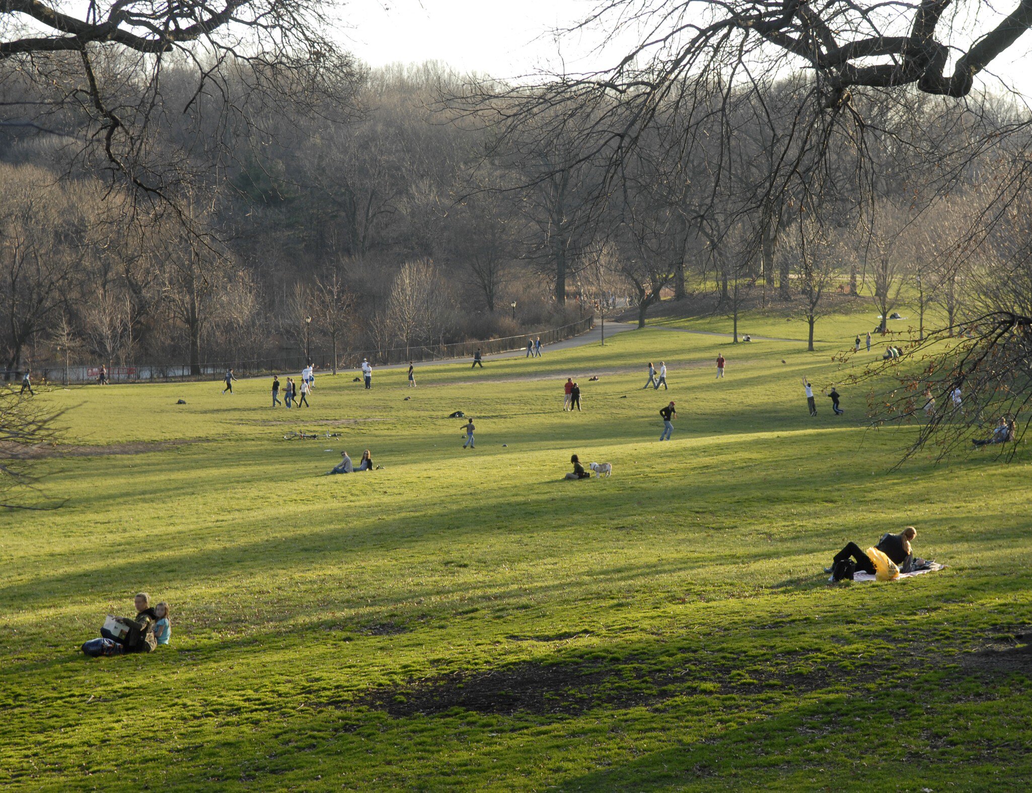 People relaxing on the lush green grass in Prospect Park, New York City.
