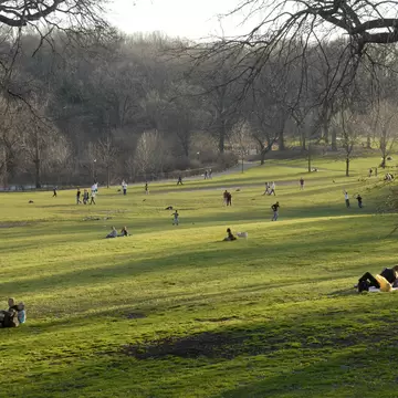 People relaxing on the lush green grass in Prospect Park, New York City.
