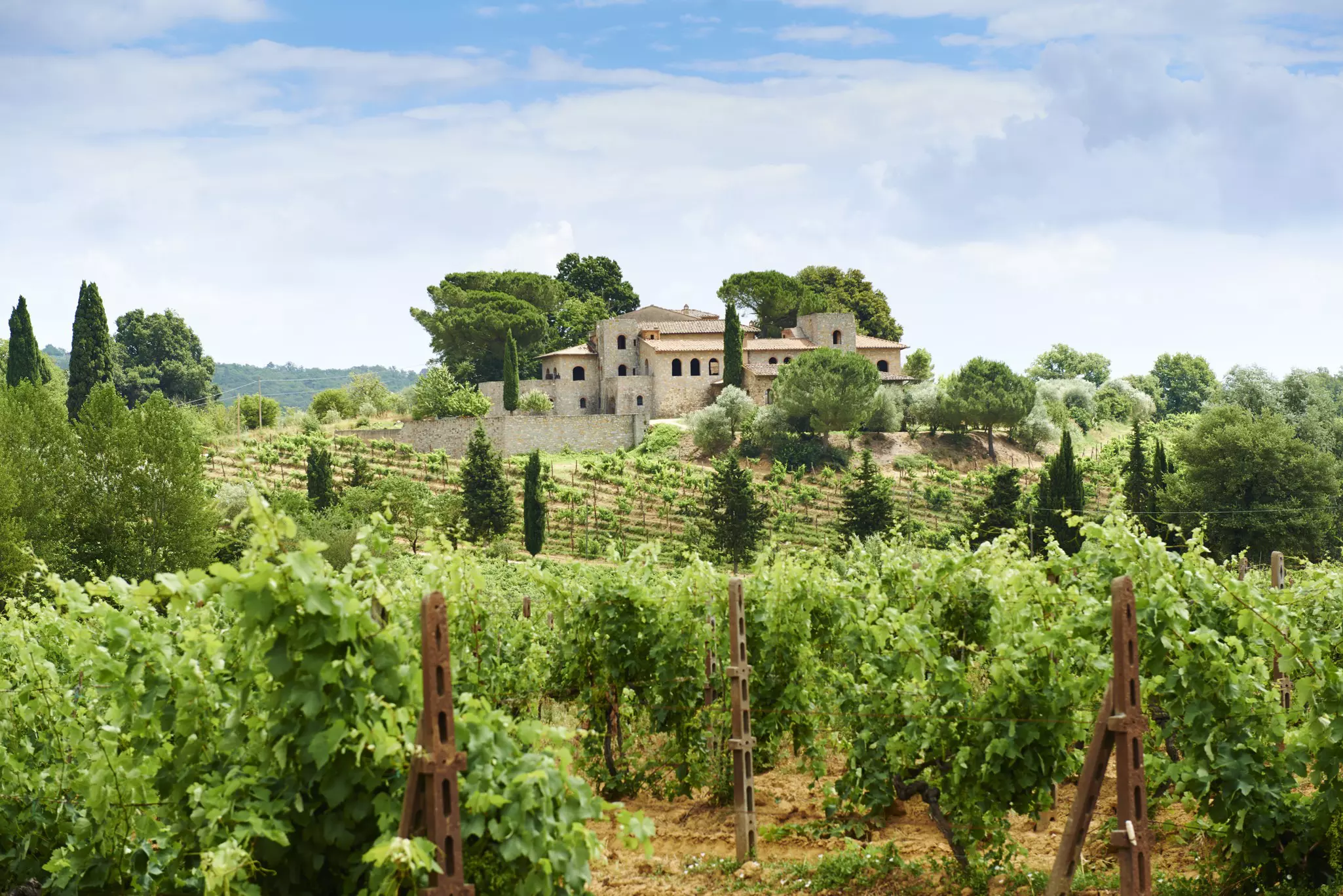 Chianti's expansive and stunning landscape makes an ideal escape with friends © Matt Munro / Lonely Planet