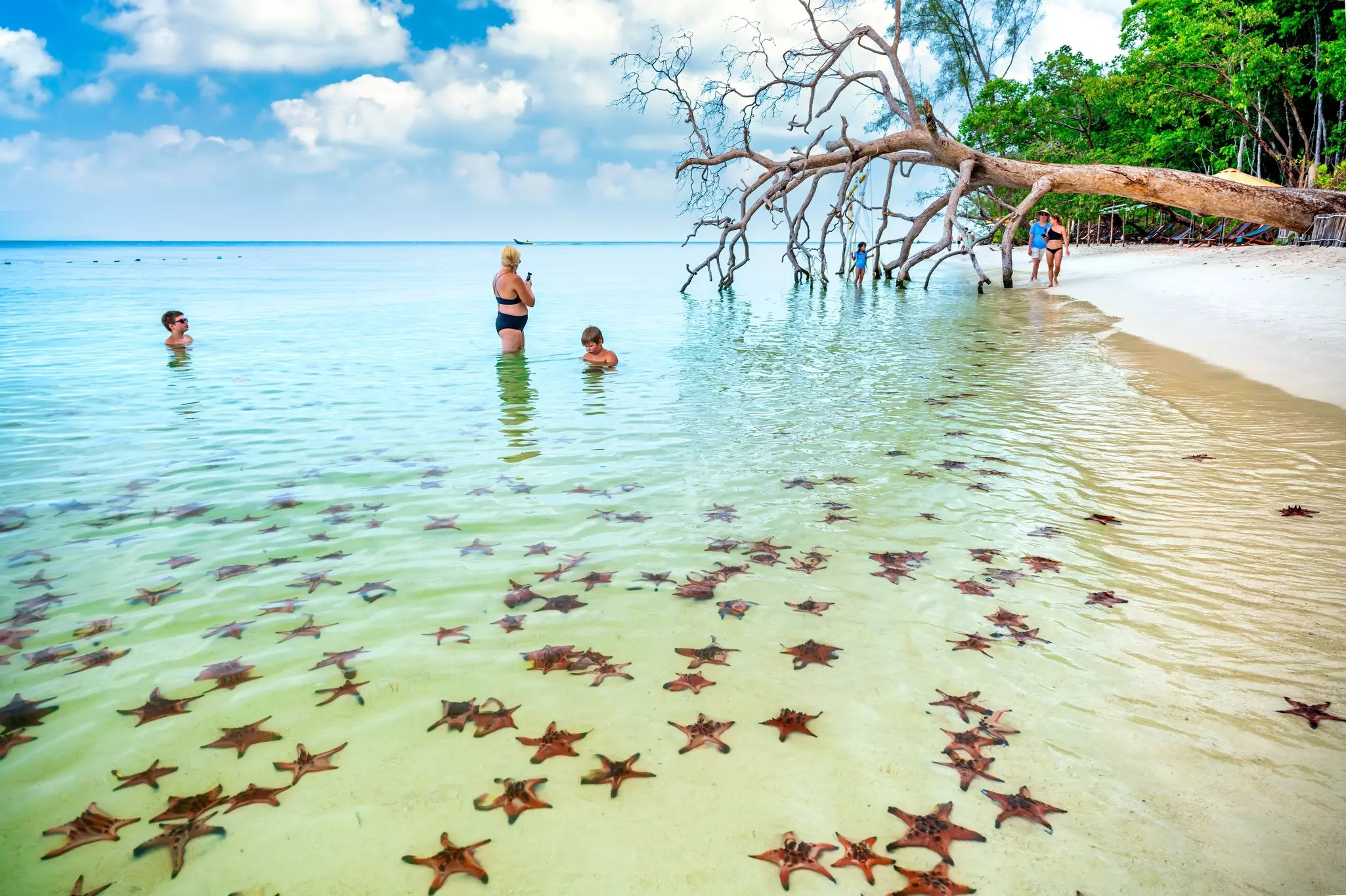 Families wade and swim in the ocean with starfish on the ocean floor at Phu Quoc Island in Vietnam. 