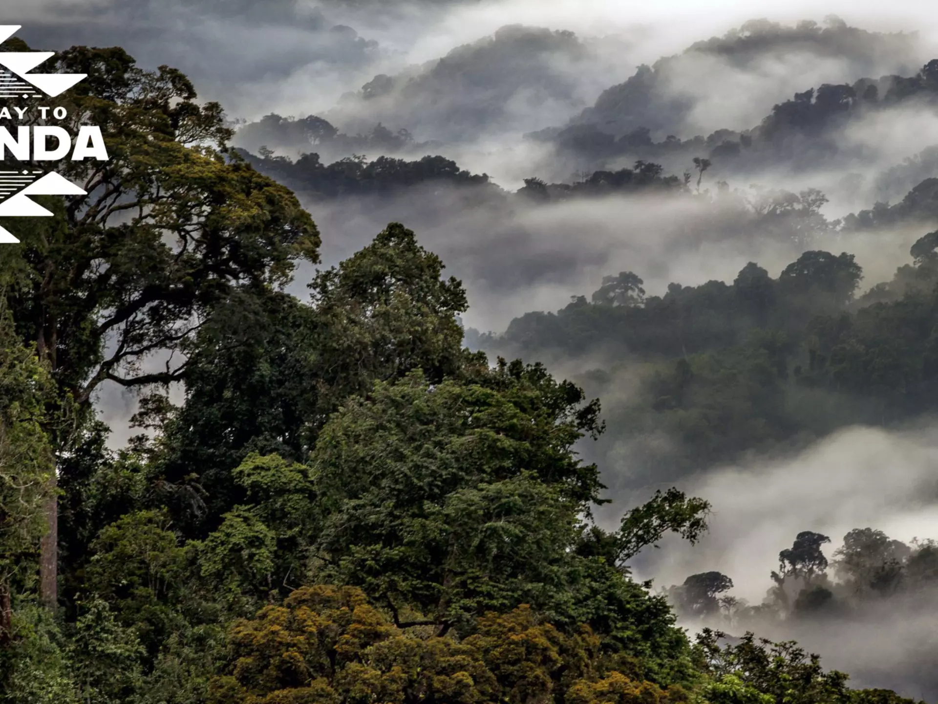 © Image courtesy of Visit Rwanda; Graphics by Dustin Johnson / Lonely Planet