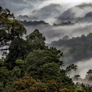 © Image courtesy of Visit Rwanda; Graphics by Dustin Johnson / Lonely Planet