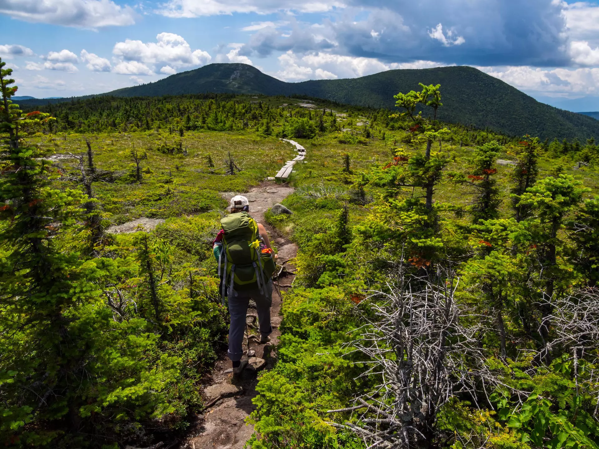 Hiker on the Appalachian Trail in Maine with Lush Mountain.
1195345237
adventure, appalachian trail, backpacking, beautiful, beauty in nature, blue, cloud, clouds, environment, footpath, forest, grass, green, hike, hiker, hiking, hill, lake, landscape, lush, mahoosuc, maine, mountain, mountains, nature, one person, outdoors, panorama, panoramic, park, path, range, ridge, rock, scenic, sign, sky, summer, the way forward, trail, travel, tree, trees, valley, view, vista, wilderness, wooden, wooden sign, woods