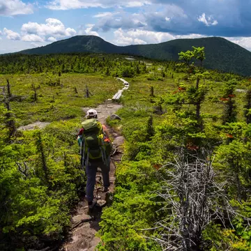 Hiker on the Appalachian Trail in Maine with Lush Mountain.
1195345237
adventure, appalachian trail, backpacking, beautiful, beauty in nature, blue, cloud, clouds, environment, footpath, forest, grass, green, hike, hiker, hiking, hill, lake, landscape, lush, mahoosuc, maine, mountain, mountains, nature, one person, outdoors, panorama, panoramic, park, path, range, ridge, rock, scenic, sign, sky, summer, the way forward, trail, travel, tree, trees, valley, view, vista, wilderness, wooden, wooden sign, woods