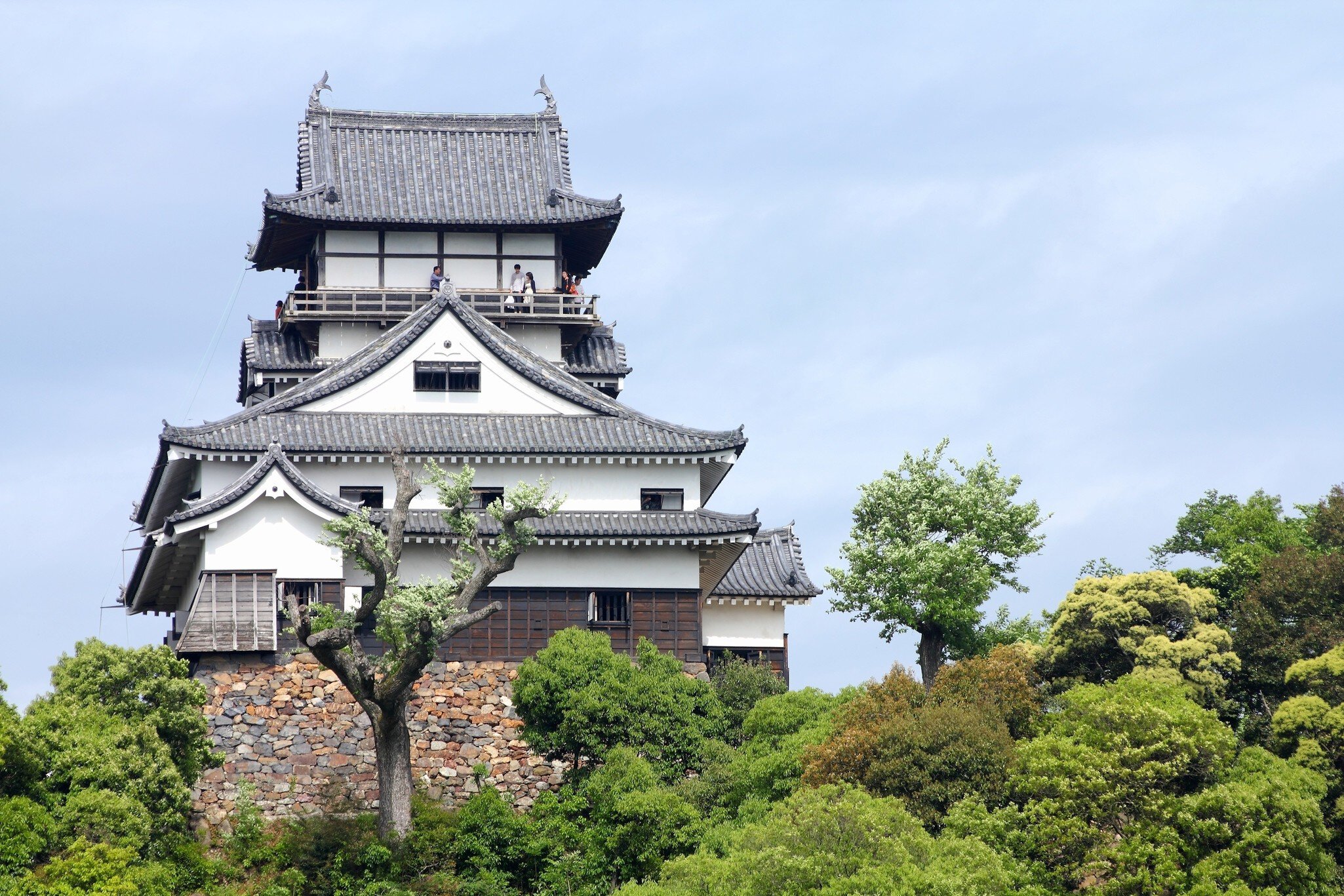 Japanese castle in Inuyama, Japan - town in Aichi prefecture of the region Chubu.