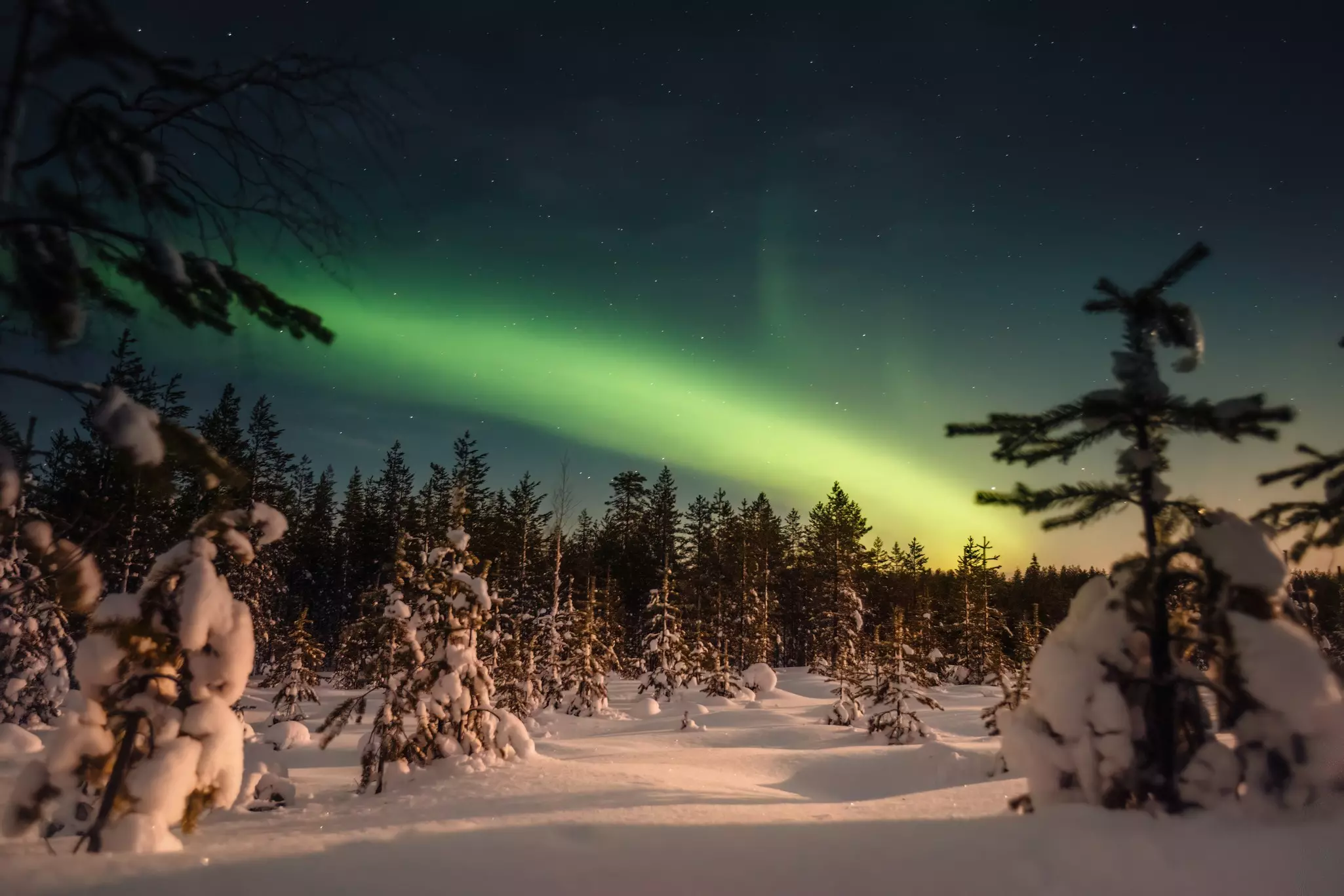 The green lights of the aurora borealis can be seen in the sky at night above a snow-covered forest of pine trees.