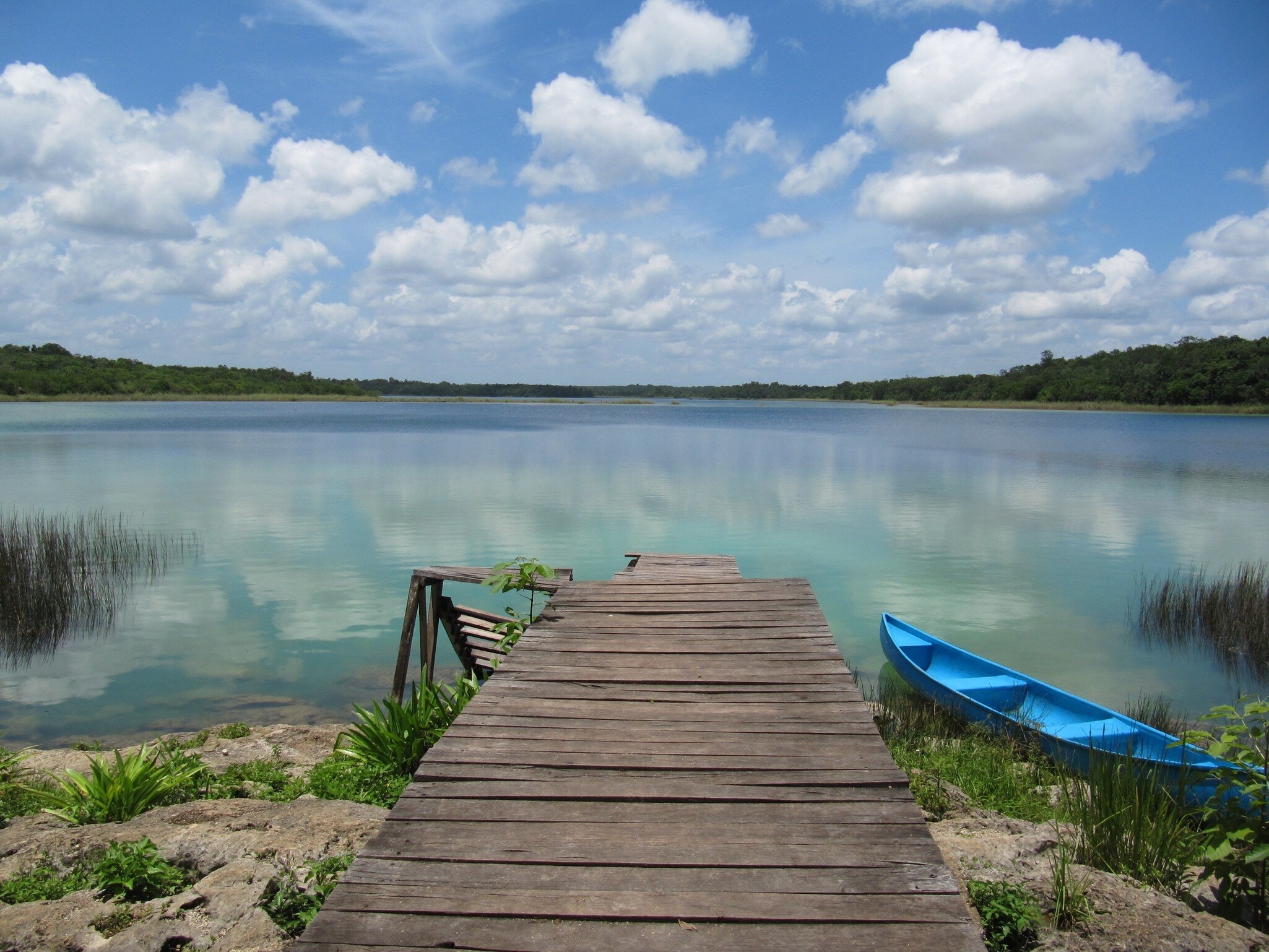 Weathered wooden dock leading into a turquoise lake reflecting white clouds, with reeds and a low green treeline