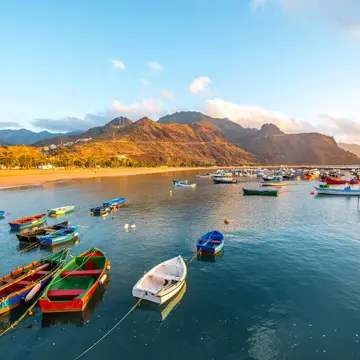 Fishing boats moored