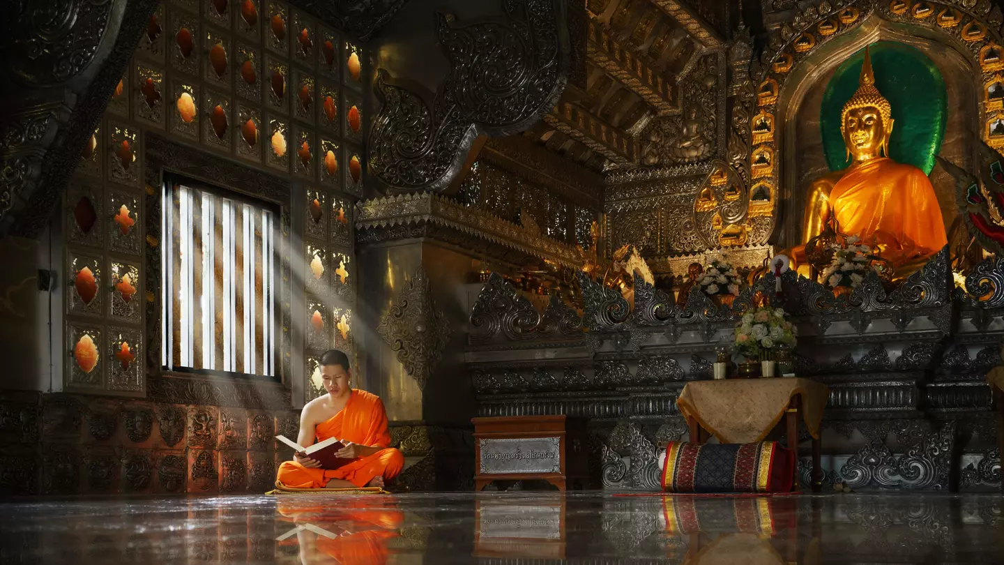 Young novice Buddhist monk, sitting cross-legged, reading inside a Chiang Mai monastery