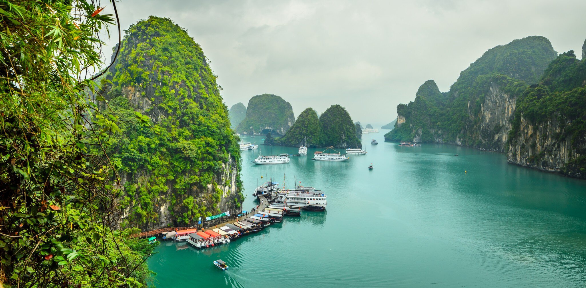 Rocks with lush foliage at Halong Bay, Quang Ninh Province, Vietnam