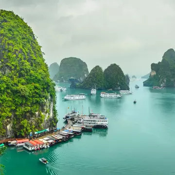 Rocks with lush foliage at Halong Bay, Quang Ninh Province, Vietnam
