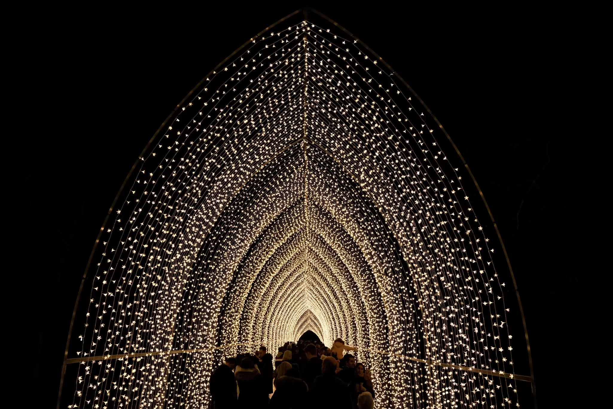 People walking through the Christmas light display at Kew Gardens Cathedral of Light at night.