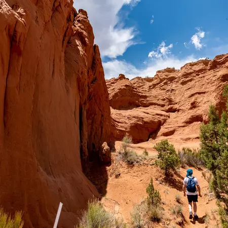 Stuart in Kodachromin Basin.