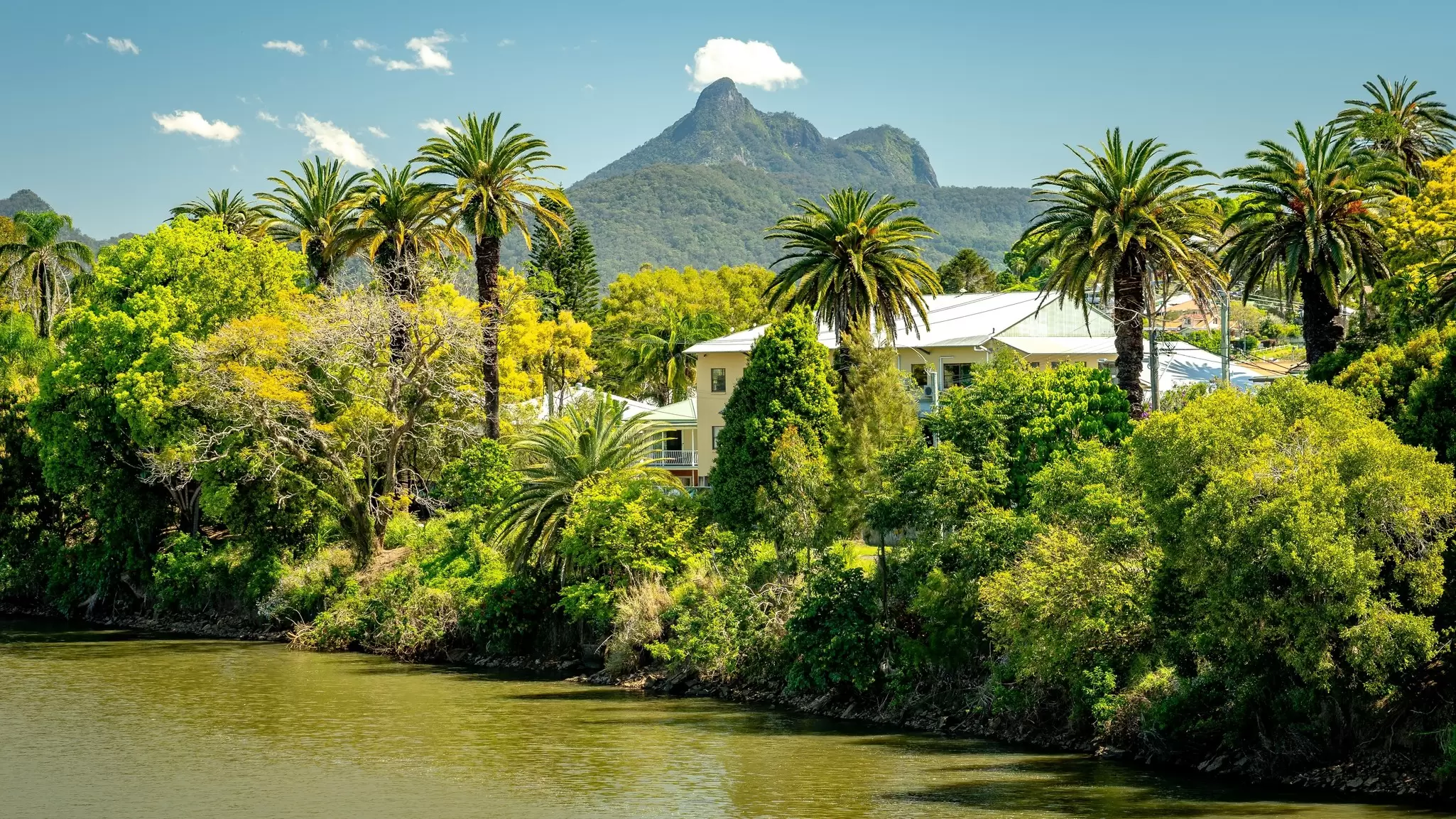 Picturesque view along the Tweed river in Murwillumbah, NSW, Australia. Alex Cimbal/Shutterstock