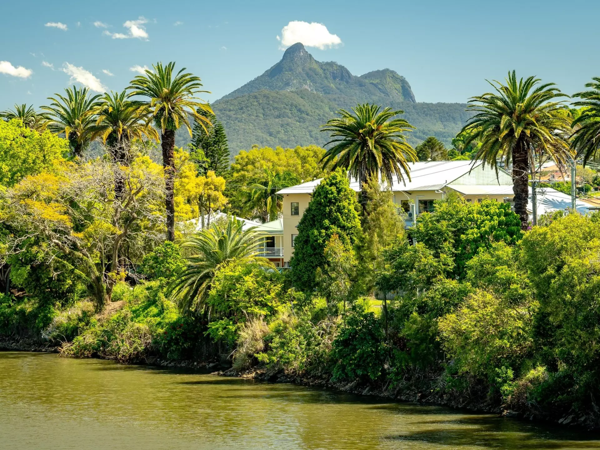 Picturesque view along the Tweed river in Murwillumbah, NSW, Australia. Alex Cimbal/Shutterstock
