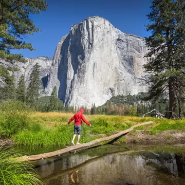 A hiker is balancing on a fallen tree over a tributary of Merced river in front of famous El Capitan rock climbing summit in scenic Yosemite Valley, Yosemite National Park, Mariposa County, California