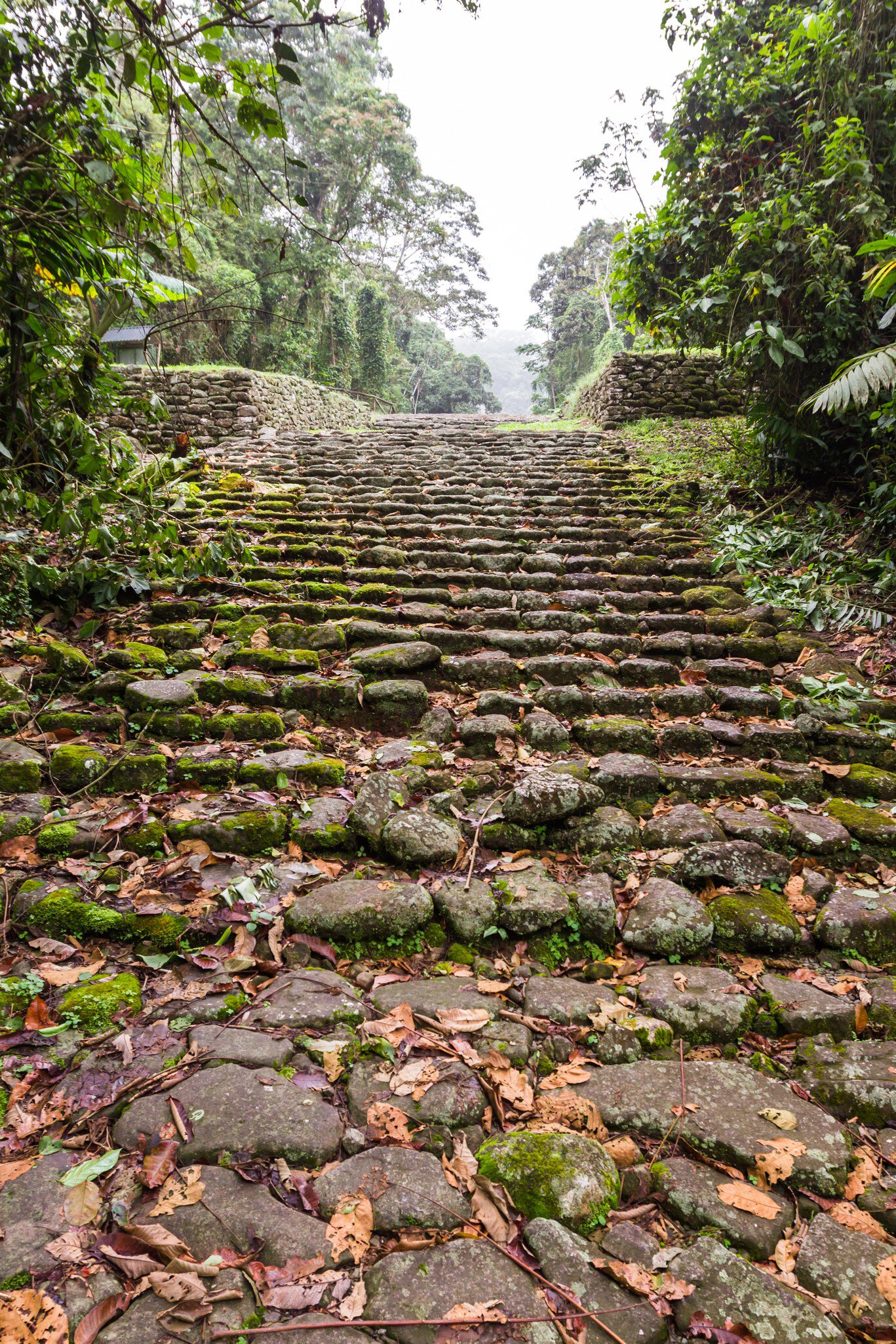 Ruins of an ancient civilization that thrived for over two thousand years in the mountains of Costa Rica, leaving behind stone work showing advanced knowledge in engineering and construction.