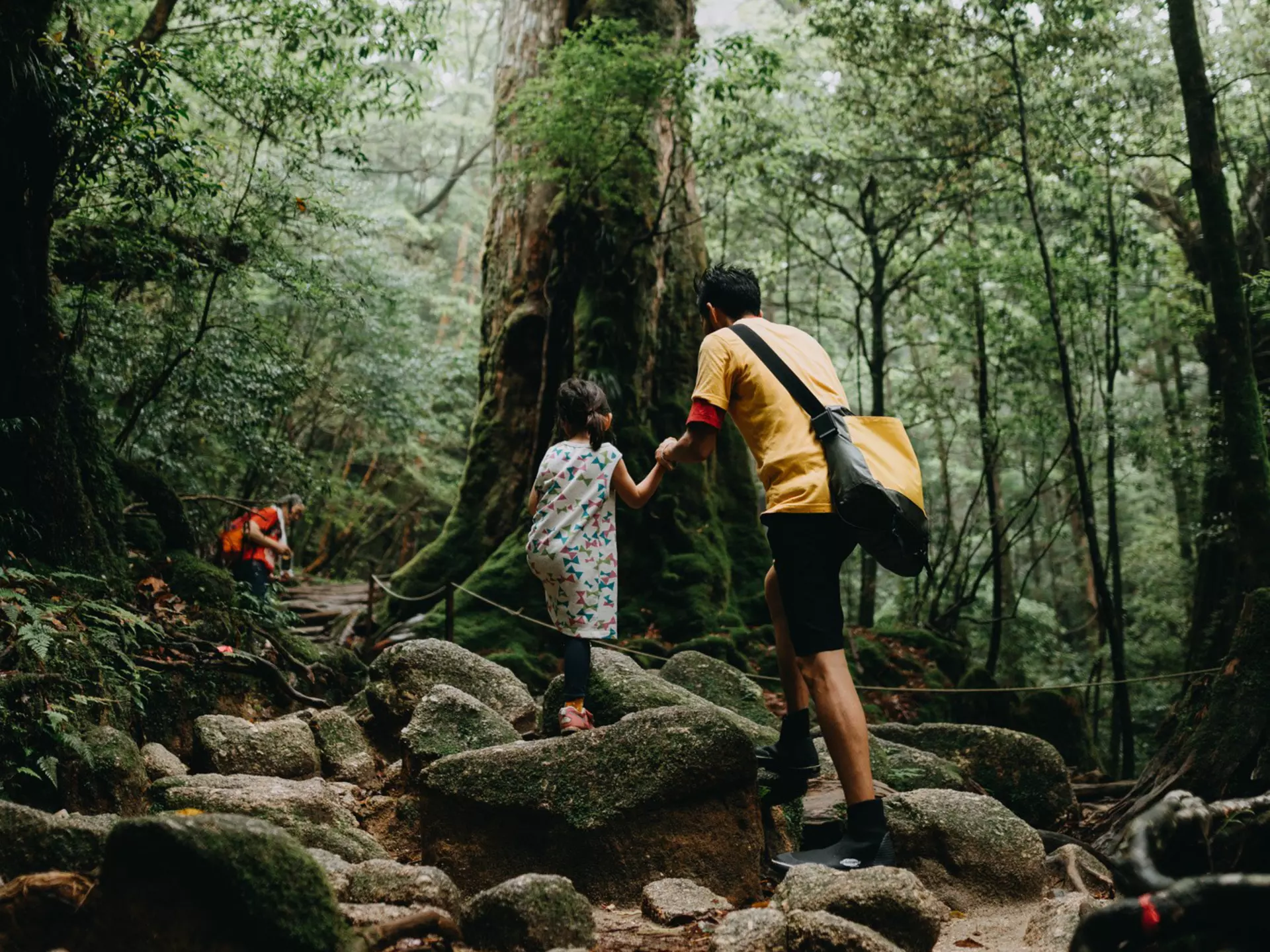 An adult and child walk over rocks in a forest.