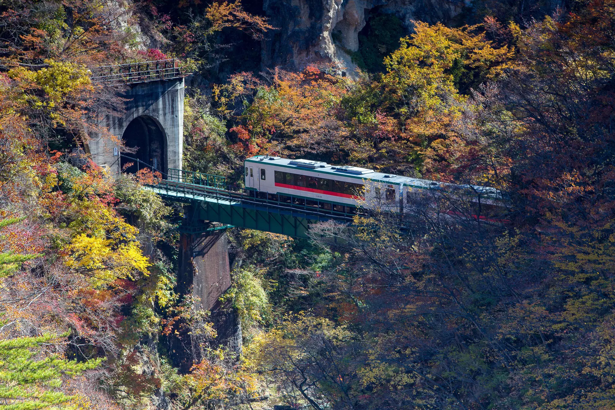 Train crossing a bridge and heading into a tunnel at Naruko Gorge in Japan.
